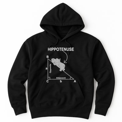 Nerd Geometry Hippotenuse Hypotenuse Funny Hoodie