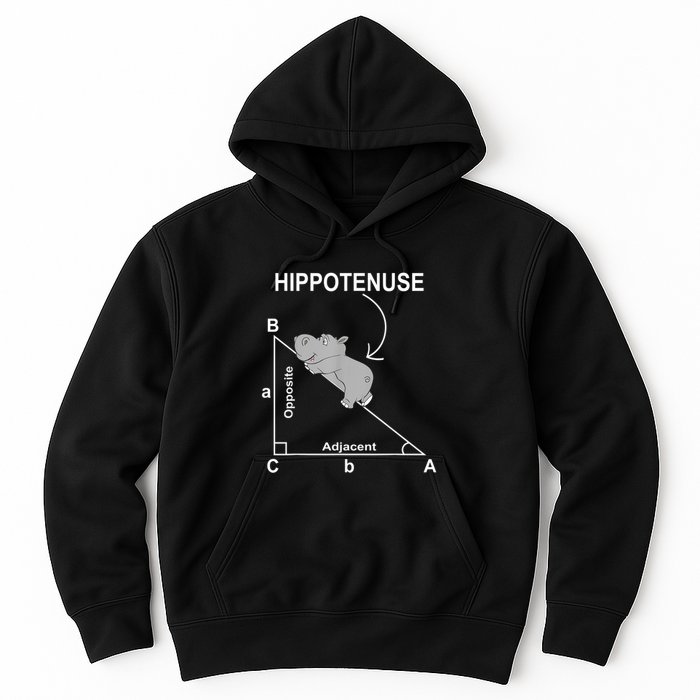Nerd Geometry Hippotenuse Hypotenuse Funny Hoodie