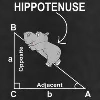 Nerd Geometry Hippotenuse Hypotenuse Funny Beanie