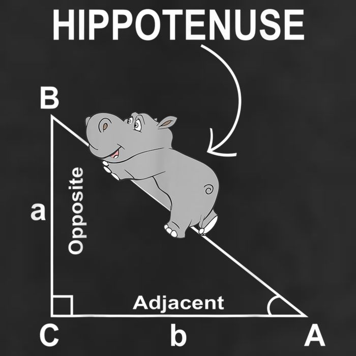 Nerd Geometry Hippotenuse Hypotenuse Funny Beanie