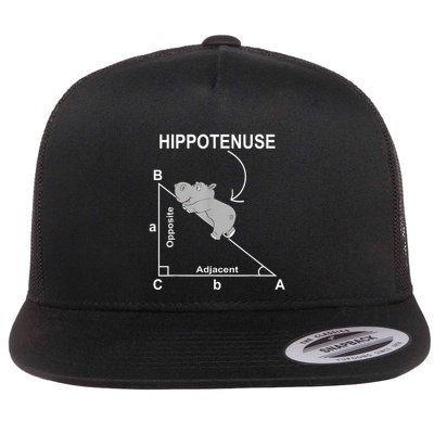 Nerd Geometry Hippotenuse Hypotenuse Funny Flatbill Hat