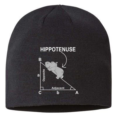 Nerd Geometry Hippotenuse Hypotenuse Funny Sustainable Beanie