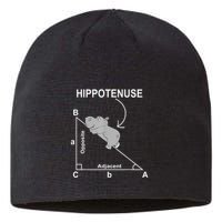 Nerd Geometry Hippotenuse Hypotenuse Funny Sustainable Beanie