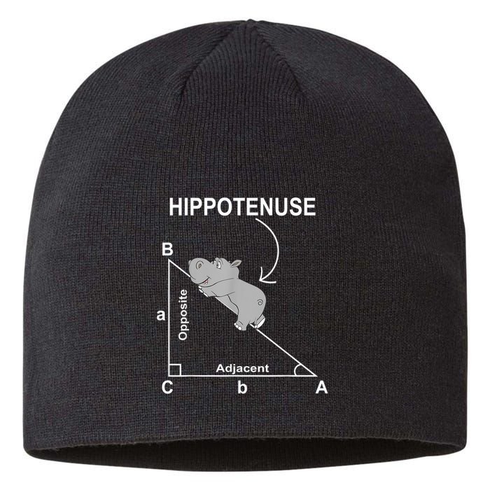 Nerd Geometry Hippotenuse Hypotenuse Funny Sustainable Beanie