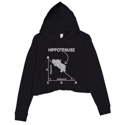 Nerd Geometry Hippotenuse Hypotenuse Funny Crop Fleece Hoodie