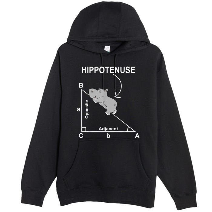 Nerd Geometry Hippotenuse Hypotenuse Funny Premium Pullover Hoodie