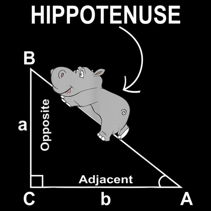 Nerd Geometry Hippotenuse Hypotenuse Funny Bag