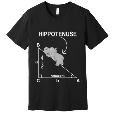 Nerd Geometry Hippotenuse Hypotenuse Funny Premium T-Shirt