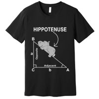 Nerd Geometry Hippotenuse Hypotenuse Funny Premium T-Shirt