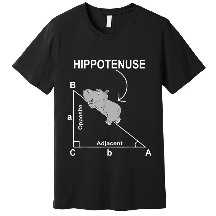 Nerd Geometry Hippotenuse Hypotenuse Funny Premium T-Shirt