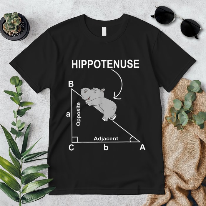 Nerd Geometry Hippotenuse Hypotenuse Funny Premium T-Shirt