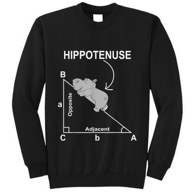 Nerd Geometry Hippotenuse Hypotenuse Funny Tall Sweatshirt