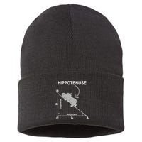 Nerd Geometry Hippotenuse Hypotenuse Funny Sustainable Knit Beanie