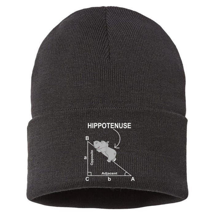 Nerd Geometry Hippotenuse Hypotenuse Funny Sustainable Knit Beanie
