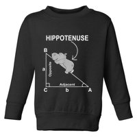 Nerd Geometry Hippotenuse Hypotenuse Funny Toddler Sweatshirt