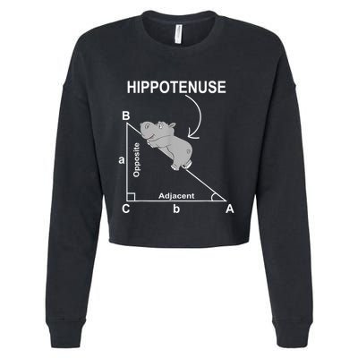 Nerd Geometry Hippotenuse Hypotenuse Funny Cropped Pullover Crew