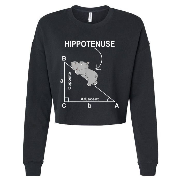 Nerd Geometry Hippotenuse Hypotenuse Funny Cropped Pullover Crew