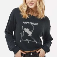Nerd Geometry Hippotenuse Hypotenuse Funny Cropped Pullover Crew