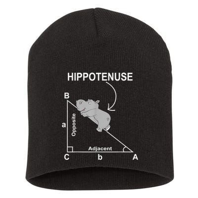 Nerd Geometry Hippotenuse Hypotenuse Funny Short Acrylic Beanie