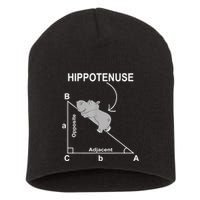 Nerd Geometry Hippotenuse Hypotenuse Funny Short Acrylic Beanie
