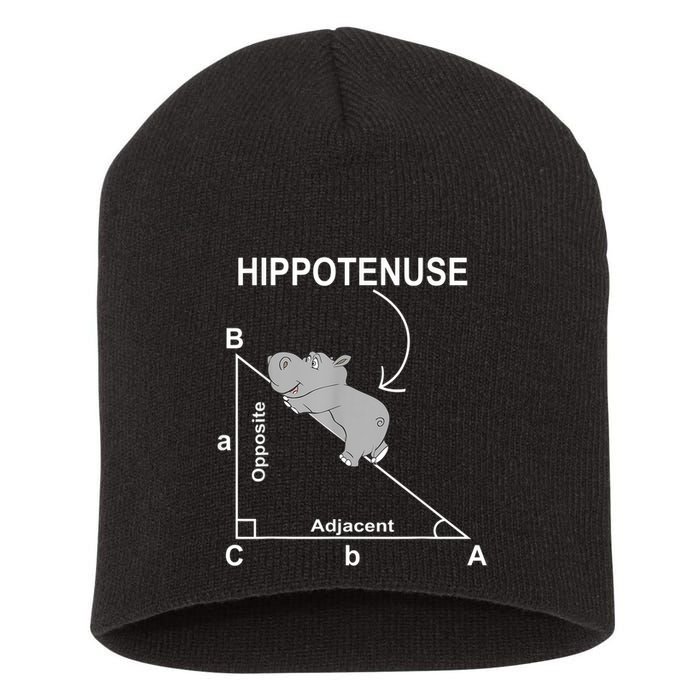 Nerd Geometry Hippotenuse Hypotenuse Funny Short Acrylic Beanie