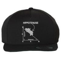 Nerd Geometry Hippotenuse Hypotenuse Funny Wool Snapback Cap