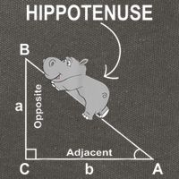 Nerd Geometry Hippotenuse Hypotenuse Funny Cotton Canvas Backpack