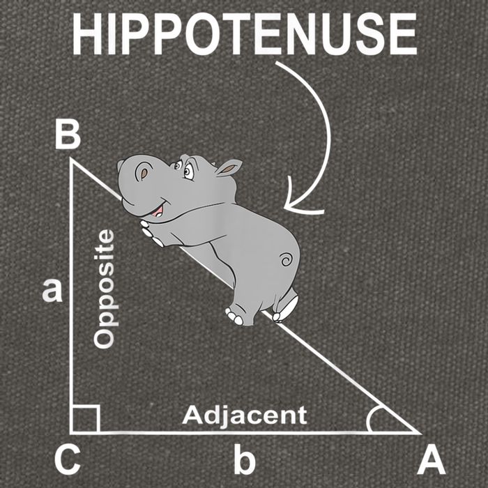 Nerd Geometry Hippotenuse Hypotenuse Funny Cotton Canvas Backpack