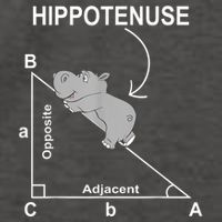 Nerd Geometry Hippotenuse Hypotenuse Funny Vector Backpack