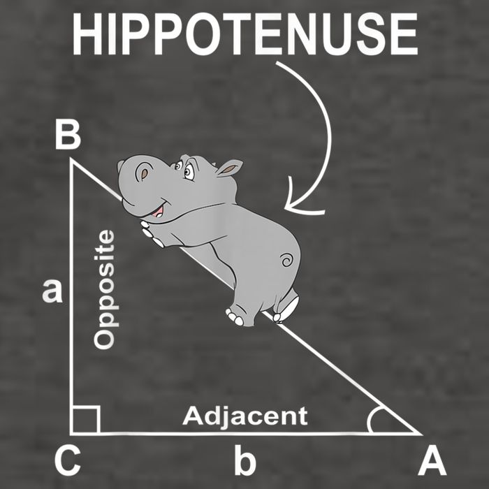Nerd Geometry Hippotenuse Hypotenuse Funny Vector Backpack