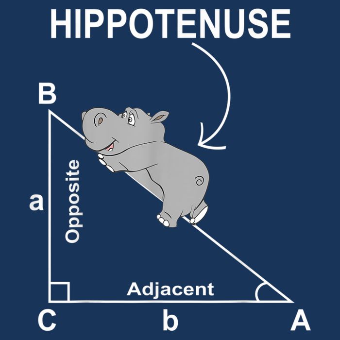 Nerd Geometry Hippotenuse Hypotenuse Funny Infant Baby Jersey Bodysuit