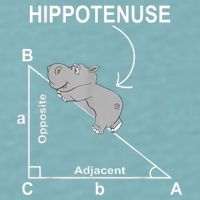 Nerd Geometry Hippotenuse Hypotenuse Funny Sueded Cloud Jersey T-Shirt