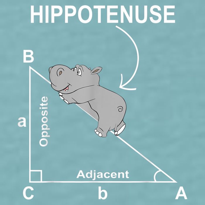 Nerd Geometry Hippotenuse Hypotenuse Funny Sueded Cloud Jersey T-Shirt