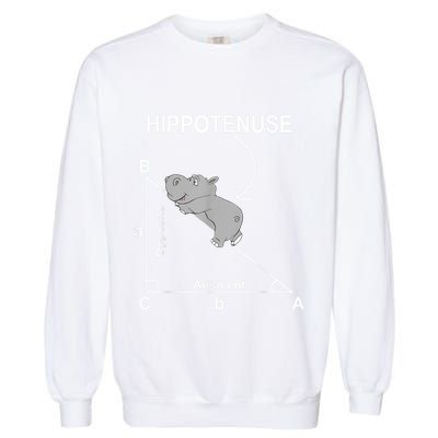 Nerd Geometry Hippotenuse Hypotenuse Funny Garment-Dyed Sweatshirt