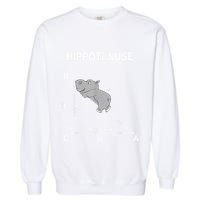 Nerd Geometry Hippotenuse Hypotenuse Funny Garment-Dyed Sweatshirt