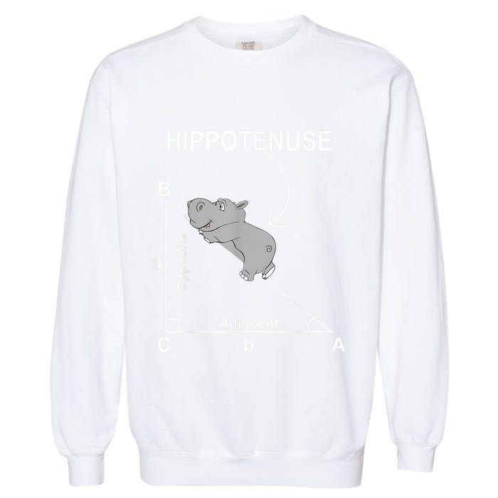 Nerd Geometry Hippotenuse Hypotenuse Funny Garment-Dyed Sweatshirt