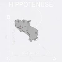 Nerd Geometry Hippotenuse Hypotenuse Funny Garment-Dyed Sweatshirt