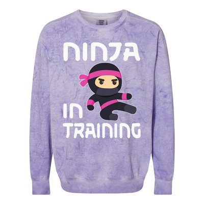 Ninja Girl In Training Colorblast Crewneck Sweatshirt