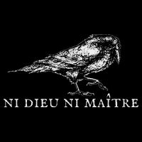 No God No  Ni Dieu Ni Maitre Retro Crow Bird Cooling Performance Crew T-Shirt