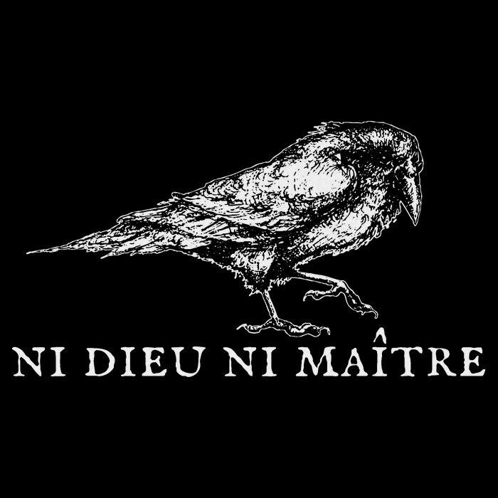No God No  Ni Dieu Ni Maitre Retro Crow Bird Toddler T-Shirt