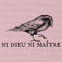 No God No Master Ni Dieu Ni Maitre Retro Crow Bird 25L Jumbo Tote