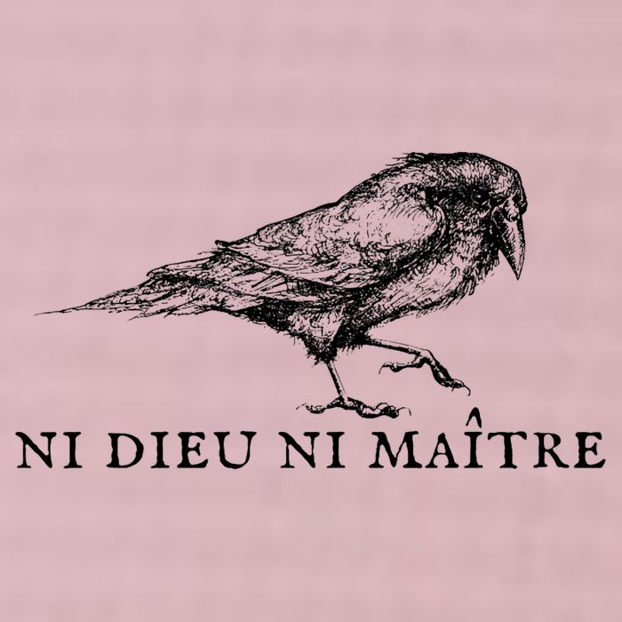 No God No Master Ni Dieu Ni Maitre Retro Crow Bird 25L Jumbo Tote