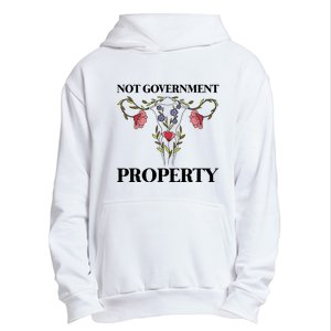 Not Government Property Urban Pullover Hoodie