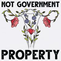 Not Government Property Funny Uterus Floral Feminism Humor Toddler T-Shirt