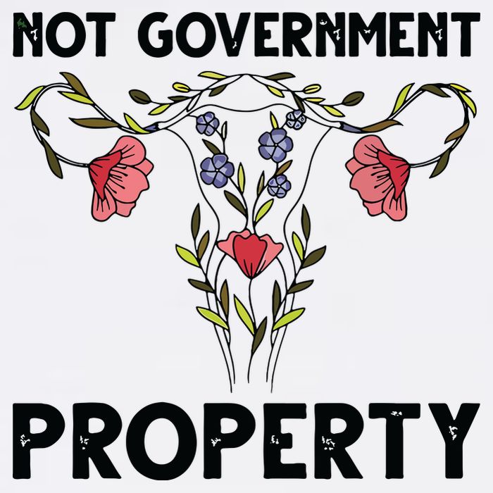 Not Government Property Funny Uterus Floral Feminism Humor Toddler T-Shirt