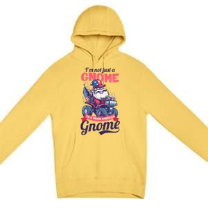 Not Gnome Proud American Design 4th July American Gnome Great Gift Premium Pullover Hoodie