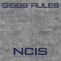 Nc.Is Gibbs Rules 7-Panel Snapback Hat