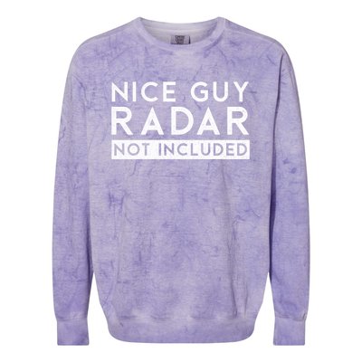 Nice Guy Radar Not Included Funny Single Dating Bachelorette Gift Colorblast Crewneck Sweatshirt