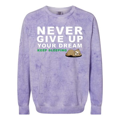 Never Give Up Your Dream Keep Sleeping Funny Sloth Colorblast Crewneck Sweatshirt