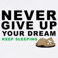 Never Give Up Your Dream Keep Sleeping Funny Sloth Cropped Pullover Crew